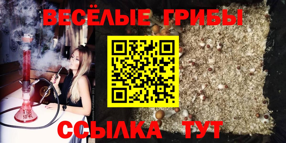 Галлюциногенные грибы прущие грибы Берёзовский